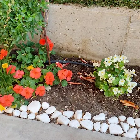 Sunrise A1, Sarafovo * 布尔加斯