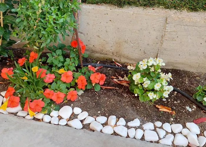 Sunrise A1, Sarafovo * Burgas